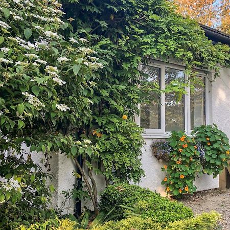 Villa Primrose End Bude Exterior foto